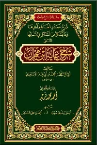 شرح غاية ابن مهران (لأبي عبد الله الأندرابي)