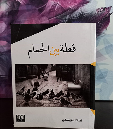 قطة بين الحمام