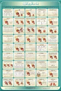 لوحة صفات الحروف العربية A3