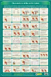 لوحة صفات الحروف العربية (جدارية) مترجمة EN