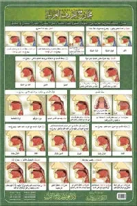 لوحة مخارج الحروف العربية A4