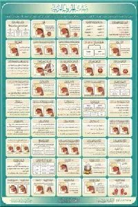 لوحة صفات الحروف العربية لوحة (جدارية)