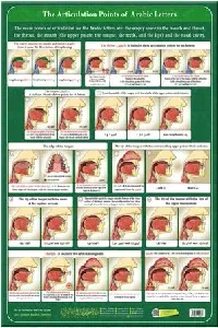 لوحة مخارج الحروف العربية (جدارية) مترجمة EN